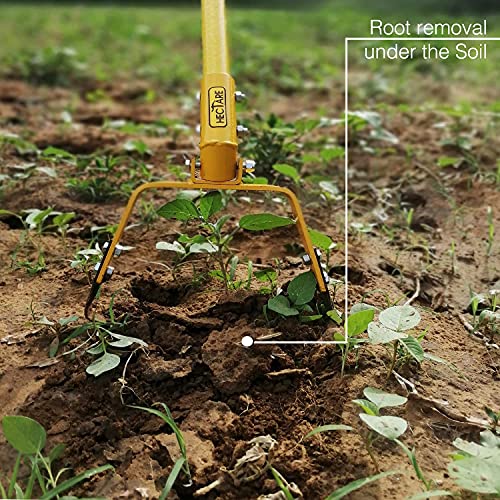 Hectare 8 inch Blade Manual Weeder with 5 feet Pole