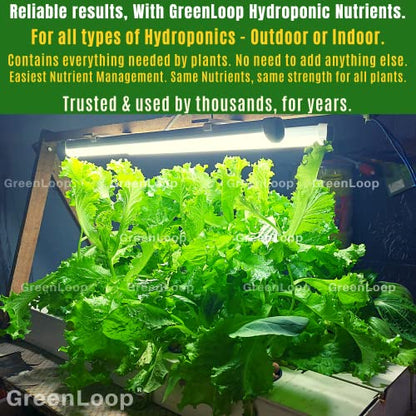 GreenLoop Hydroponic Nutrients– LEAFY200, Hydroponic nutrients, Solid Mixture, Makes 200 Liter hydroponic Solution, Suitable for All Plants & Better Leafies, Complete - Contains Everything