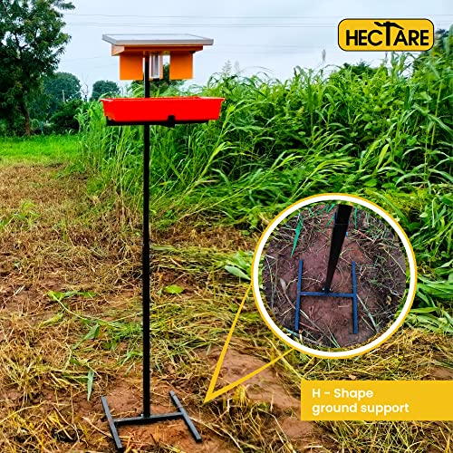 HECTARE Jumbo Automatic Solar UV Light, Li-Ion Battery and Tray Insect Trap with 10 watt Solar Panel for Pest Collection, Yellow
