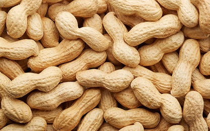 Peanut Seeds k 1812 (Kadri Lepakshi), Raw Moongfali Dana | Whole Peanuts| 15 KG