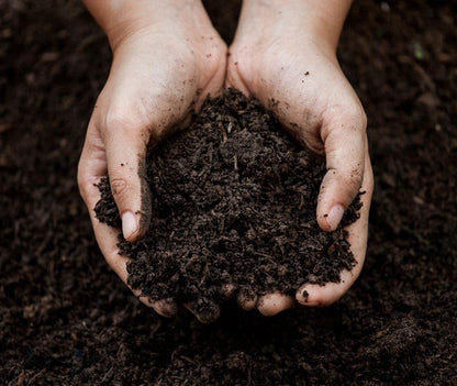 Evergrow Cow Dung Compost Fertilizer Manure for Plants Organic Fertilizer Natural Fresh Plant Garden Cow Compost (Pack of 1 KG)