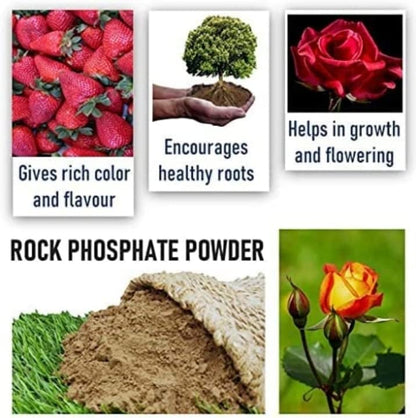 ORGANIC PLANT Rock Phosphate Fertilizer All Purpose Crushed Powder for Fruiting and Flowering Plants( 1kg )