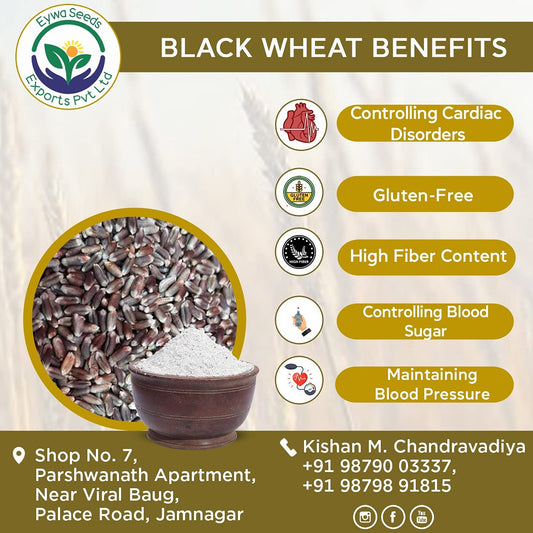 Benefits of black wheat