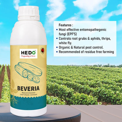 HEDO ब्यूवेरिया बेसियाना लिक्विड (1X10^8 CFU/Ml) बायो-ऑर्गेनिक (1L) पौधों के लिए एफिड्स, थ्रिप्स और व्हाइटफ़्लाइज़ को नियंत्रित करने के लिए