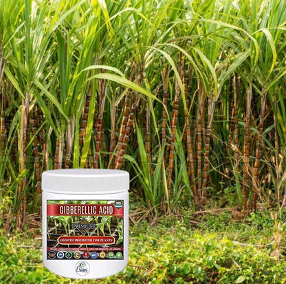 Erwon® Gibberellic Acid, Premium Essential Powerful Organic Growth booster for Plants(10 gm)