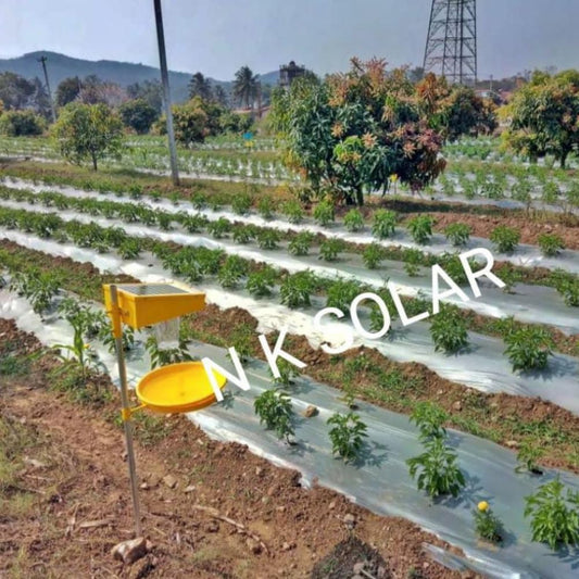 NKSOLAR Automatic Solar UV Light, Li-Ion Battery and Tray Insect Trap with Solar Panel for Pest Collection-01