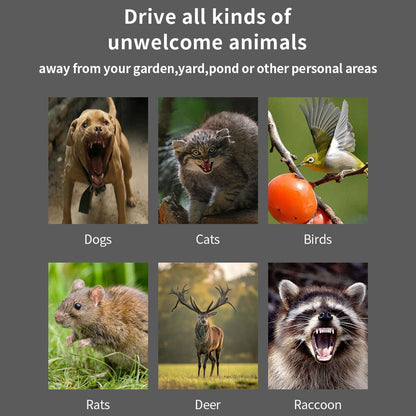 animal repellent