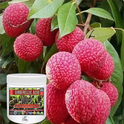 Erwon® Gibberellic Acid, Premium Essential Powerful Organic Growth booster for Plants(10 gm)