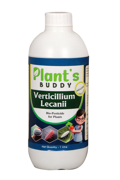 PLANT'S BUDDY - Verticillium Lecanii Liquid (2 * 10^9 CFU/ml) - Bio-Insecticide for All Indoor and Outdoor Plants - 1 Litre