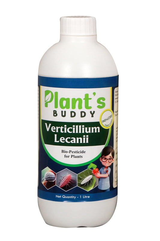 PLANT'S BUDDY - Verticillium Lecanii Liquid (2 * 10^9 CFU/ml) - Bio-Insecticide for All Indoor and Outdoor Plants - 1 Litre