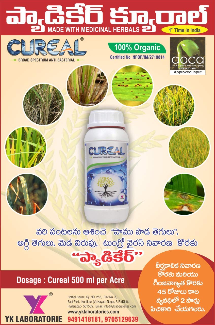 broad spectrum antibacterial