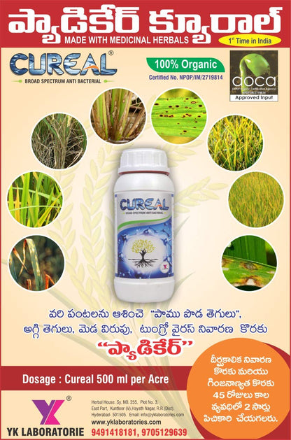 broad spectrum antibacterial