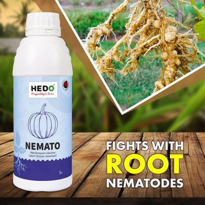 HEDO नेमाटो (पैसिलोमाइसेस लिलासिनस 2x10^8 CFU/ml) लिक्विड (1L) बायो-ऑर्गेनिक बीज और बगीचे के पौधों के लिए - विभिन्न नेमाटोड के खिलाफ