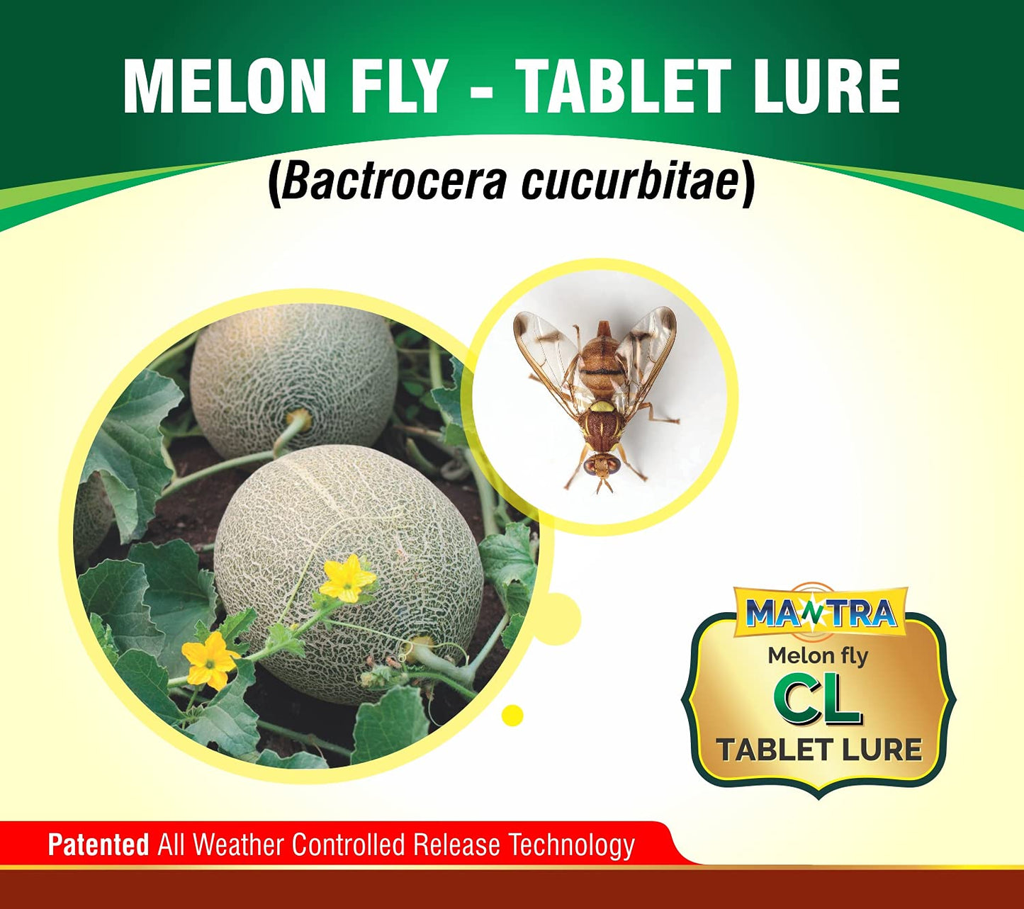 fruit fly control 