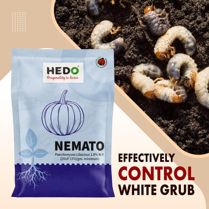 HEDO नेमाटो (पैसिलोमाइसेस लिलासिनस 2x10^8 CFU/g) जैव-कार्बनिक पाउडर (1Kg) बीज और बगीचे के पौधों के लिए - विभिन्न नेमाटोड के खिलाफ