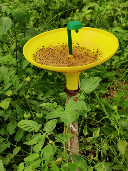 FARMROOT Tuta absoluta फेरोमोन ल्यूर (10)
