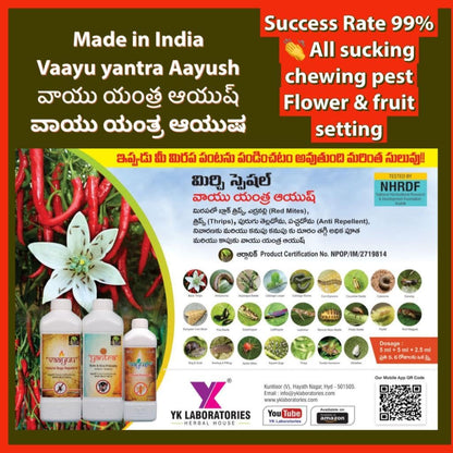 वाईके प्रयोगशालाएं ब्लैक थ्रिप नियंत्रण विशेष | वायु यंत्र आयुष (1L+1L+500ml) फसल कीट ब्लैक थ्रिप्स के लिए पैक