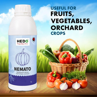 HEDO नेमाटो (पैसिलोमाइसेस लिलासिनस 2x10^8 CFU/ml) लिक्विड (1L) बायो-ऑर्गेनिक बीज और बगीचे के पौधों के लिए - विभिन्न नेमाटोड के खिलाफ