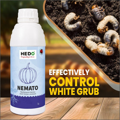 HEDO नेमाटो (पैसिलोमाइसेस लिलासिनस 2x10^8 CFU/ml) लिक्विड (1L) बायो-ऑर्गेनिक बीज और बगीचे के पौधों के लिए - विभिन्न नेमाटोड के खिलाफ
