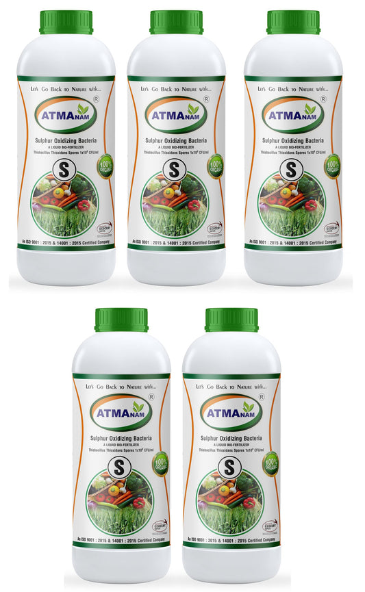 Atmanam Sulphur oxidizing Bacteria A Liquid organic and Bio Fertilizer (5)