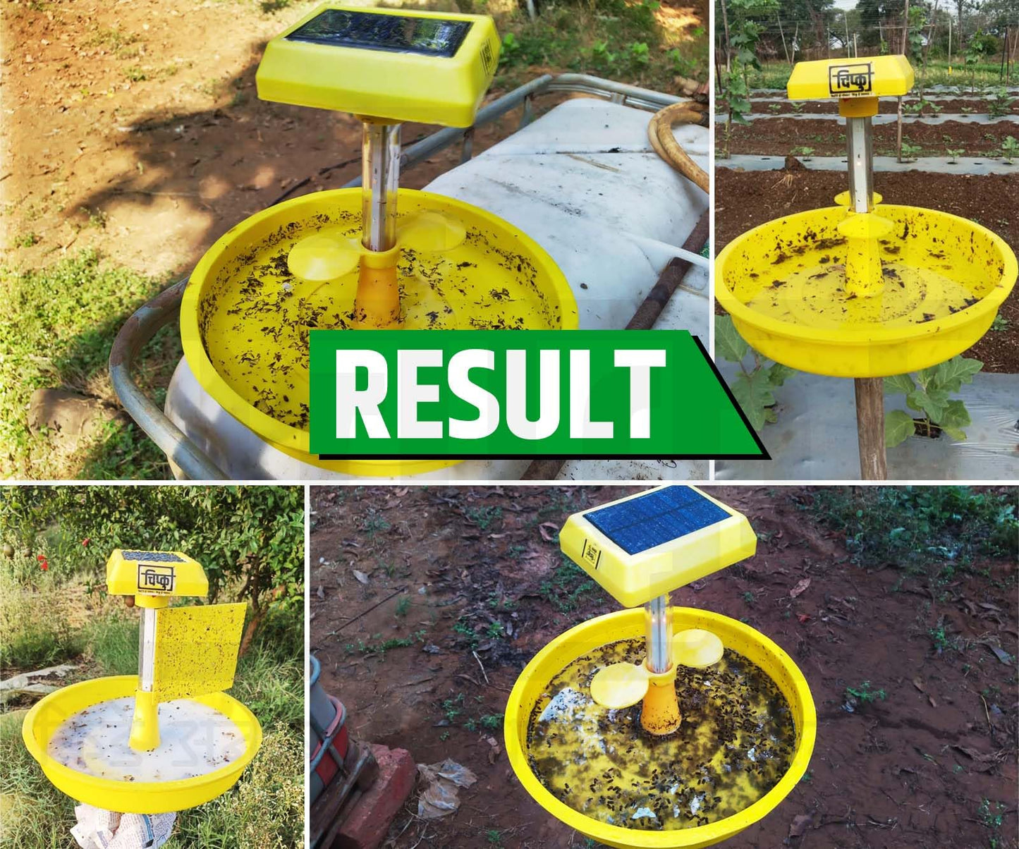 Chipku Indo Chipku Mini Solar Insect Trap Solar Insect Killer for Farming and Gardening Outdoor use with 6 Months warrenty (10)