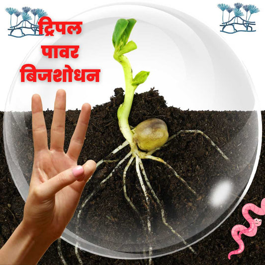 सभी बीजों के लिए ट्रिपल पावर टिका!