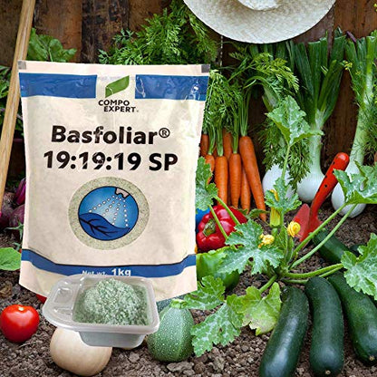 growth fertilizer for vegetables