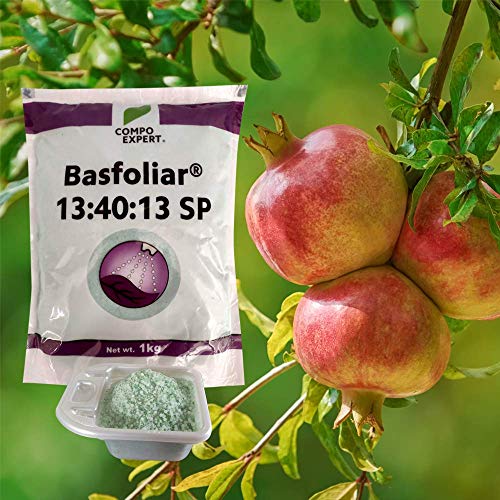 pomegranate foliar spray
