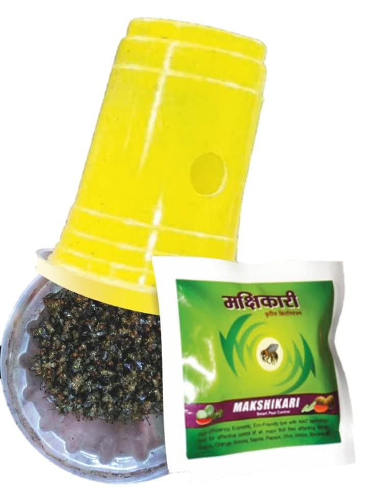 fruit fly trap online price