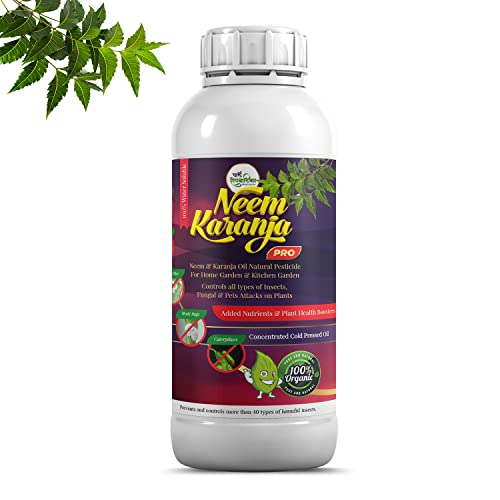 neem oil price
