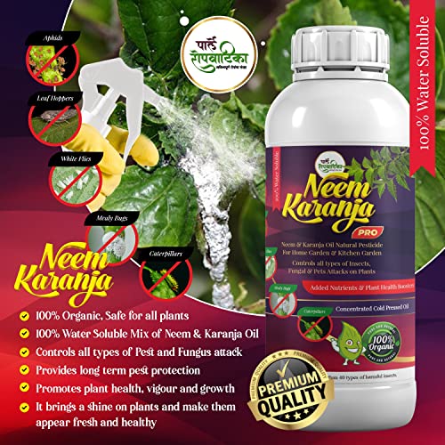 neem oil price