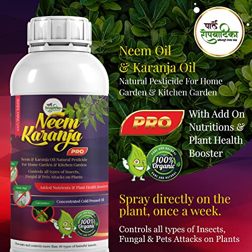 organic neem oil price