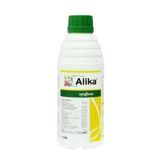 Alika  80ML