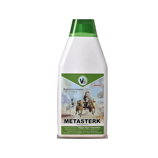 Metarhizium anisopliae by Vijaya Agro Industries: Nature's Shield, Your Crop's Defender