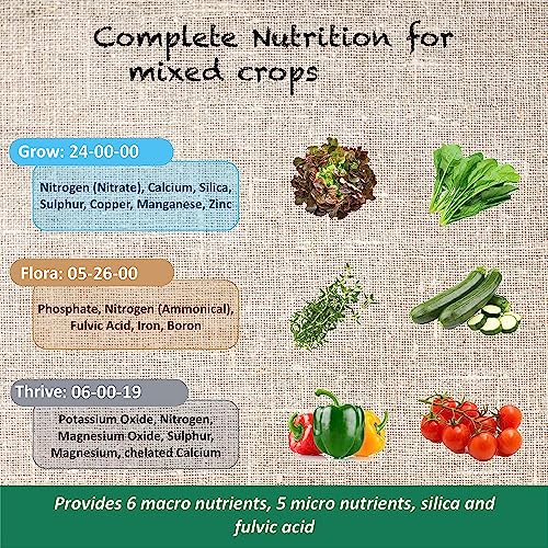what does hydroponics solution contain