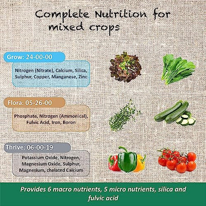 what does hydroponics solution contain